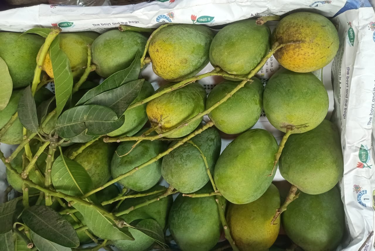 হিমসাগর আম