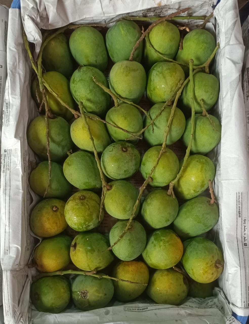 আমরুপালি আম