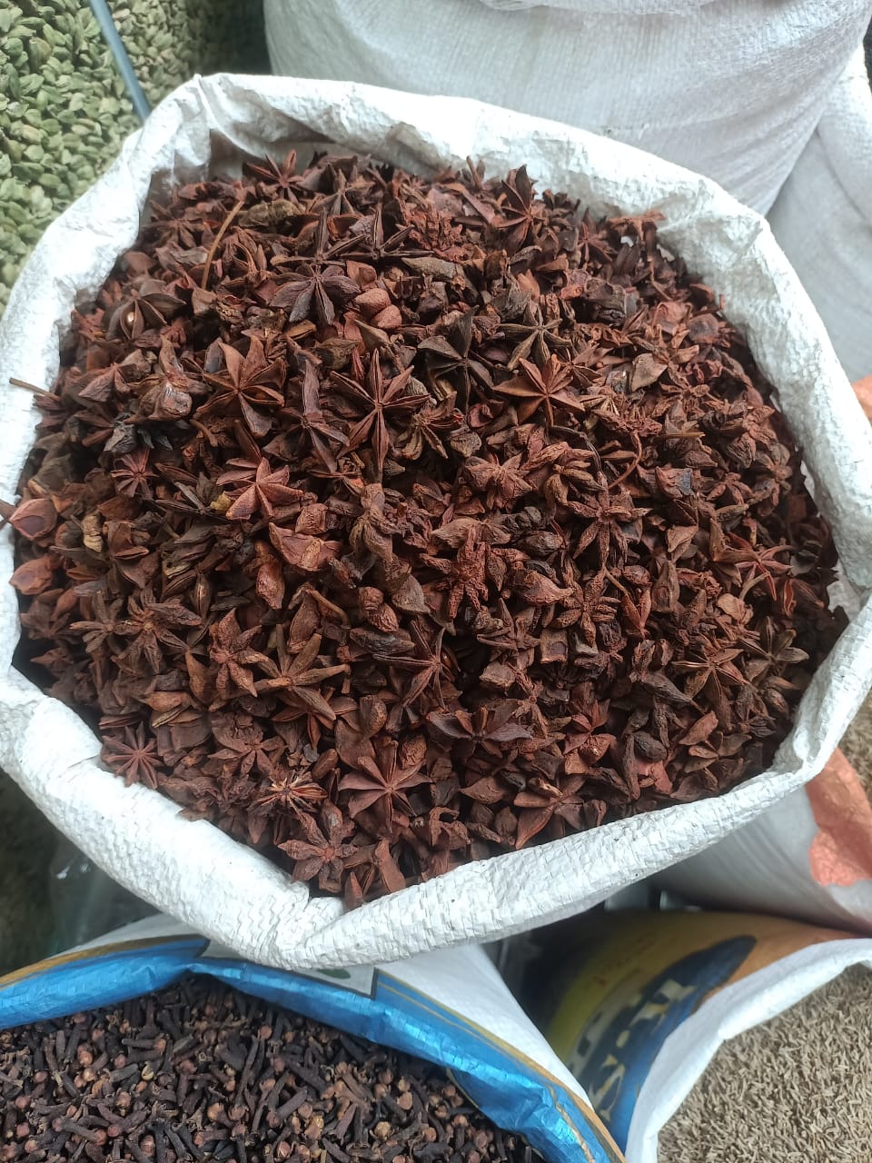 স্টার এনিস
